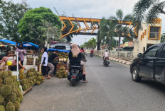 Pedagang Buah Durian Banjiri Kota Martapura