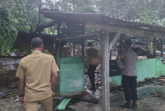 Diduga Korsleting Listrik, Rumah Kayu Hangus Terbakar