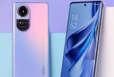 Harga Oppo Reno 10 5G November 2024 Turun Derastis, Cek Spesifikasinya