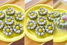 8 Langkah  Bikin Kue Lapis Pandan: Cantik, Kenyal dan Mudah Dibikin!
