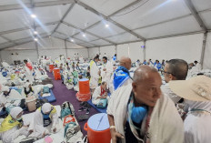 Jemaah Haji Indonesia Mulai Bergerak ke Arafah, Kemenhaj Imbau Jaga Kesehatan dan Kepatuhan Ihram