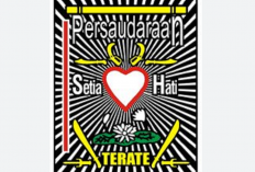 Urutan Sabuk Persaudaraan Setia Hati Terate (PSHT), Perguruan Terbesar di Indonesia