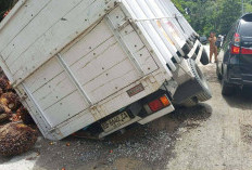 Akibat Curah Hujan Tinggi, Jalan di Pelawi OKU Selatan Amblas