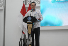  30 Ribu Kuota Pelatihan Gratis, Hasil Seleksi PVN Batch 2 Diumumkan 18 Juni 2026
