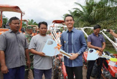 Percapat Target Swasembada Pangan, Distribusikan Alat Mesin Pertanian