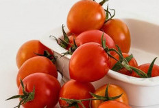 Menjaga Kesehatan Tulang: Tomat Ceri Sebagai Superfood untuk Kekuatan Tulang yang Optimal