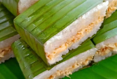 Resep Lemper Ayam yang Lezat, Gurih Enak GaK Bikin Eneg