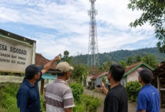 Sinyal Internet Tak Stabil, Warga Sidodadi OKU Selatan Harap Perhatian