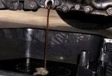 Jangan Dibuang! Inilah 5 Manfaat Oli Bekas yang Jarang Diketahui