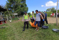 Pensiunan PNS Ditemukan Tak Bernyawa di Bawah Pohon