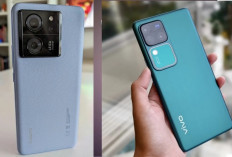 Adu Spesifikasi Xiaomi 13T vs Vivo V30 Pro 5G, Intip Harganya