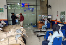 Volume KALOG Express Wilayah Jawa Tengah Tumbuh Sebesar 15 Persen