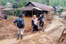 4 Orang Meninggal Longsor Mamuju, Kemensos Kirim Logistik dan Tagana