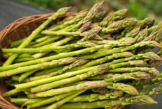 Benarkah Asparagus Bisa Mencegah Penyakit Kronis? Simak Penjelasan 