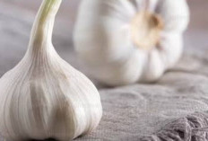 Bawang Putih Kaya Akan Khasiat yang Belum Banyak Orang Tau, Termasuk Menurunkan Kolesterol