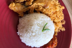 Ide Memasak Mudah Untuk Keluarga, Resep Ayam Kremes yang Lezat 