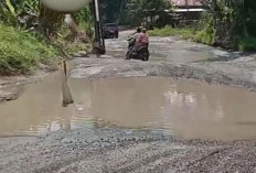 Akses Vital Rusak dan Tergenang, Warga Desa Bendi Desak Perbaikan Jalan
