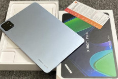 Perbandingan Tablet 5 Jutaan, Samsung Galaxy Tab S6 Lite (2024) VS Xiaomi Pad 6: Mending yang Mana?