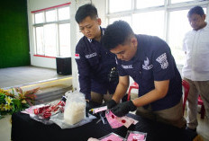 Polres OKI Musnahkan 927 Gram Sabu Ratusan Juta, Hasil Ungkap Kasus 2026