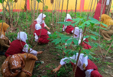 SD di OKU Timur Kembangkan Kebun Edukasi