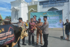 Idul Adha, Polres OKU Timur Sembelih 13 Hewan Kurban 