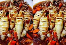 Langkah Bikin Cumi Saus Thailand, Hidangan Lezat Untuk Keluarga