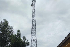 Sulit Sinyal, Warga Desa Datar Harapkan Tower Telekomunikasi