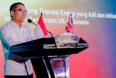 Perluas Akses, Kementerian ESDM Kebut Listrik Perdesaan
