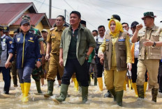 Himbau Waspada Dampak Curah Hujan Tinggi