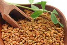 Mengontrol Nafsu Makan dengan Mengonsumsi Biji Fenugreek