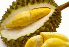 Kaya Akan Nutrisi, Buah Durian Ampuh Mengatasi Insomnia