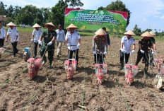 Polres OKU Timur Gelar Penanaman Jagung Serentak, Sukseskan Program Nasional