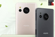 Sharp Aquos Sense8: Hp Badak, Fitur Canggih, Spek Gacor, Harga Terjangkau