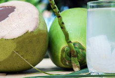 Tips Awet Muda dengan Mengonsumsi Air Kelapa Murni yang Banyak Khasiatnya