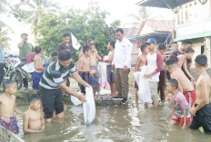 Luar Biasa, Dinas Perikanan Kabupaten Ogan Ilir Sebar 25.000 Bibit Ikan