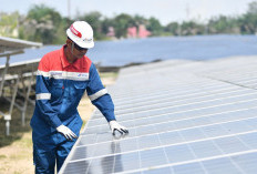 Gejolak Energi Dunia, Pertamina Dorong Energi Terbarukan