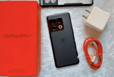 OnePlus 10 Pro: Fotografi Pro-Level dengan Ultra-Wide 48MP, Siap Saingi Kamera DSLR