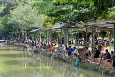 Dari Penampung Air Menjadi Destinasi Wisata, Embung Makartitama Bangkitkan Ekonomi Desa
