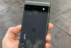 Google Pixel 6: Hp Andalan untuk Fotografi yang Jernih di Ahir Tahun!