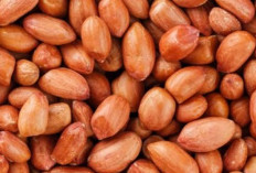 Mengatasi Penuaan Dini dengan Kacang Tanah: Solusi Alami untuk Kulit Sehat