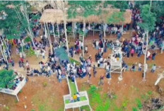 Kampung Wisata Kenzo Langsung Viral, Pengunjung Membludak