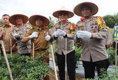 Kapolres OKUT Panen Tanaman Ketahanan Pangan 
