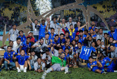 Daftar 30 Pemain Liga Indonesia All Star di Piala Presiden 2025