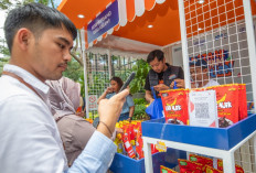 Berkat Pemberdayaan BRI, UMKM Keripik Pisang di Bakauheni Lampung Semakin Maju