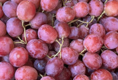 Manfaat Buah Anggur untuk Mencegah Penuaan Dini: Rahasia Awet Muda yang Alami
