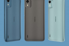 Spesifikasi Lengkap Hp Merakyat  Nokia C12 