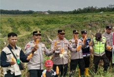 Hasil Cukup Memuaskan, Masih Terganjal Hama dan Pupuk