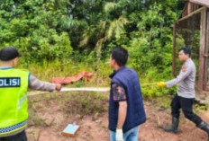 Petani Sawit Ditemukan Tewas di Bawah Jaringan Listrik Tegangan Tinggi