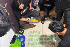 Bongkar Jaringan Narkoba Lintas Provinsi, Ekstasi 11.443 Butir dan Sabu 1,4 Kilogram Disita
