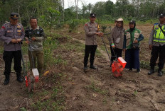 Penanaman Jagung 1 Desa 1 Hektar, Polsek Belitang III Dukung Ketahanan Pangan